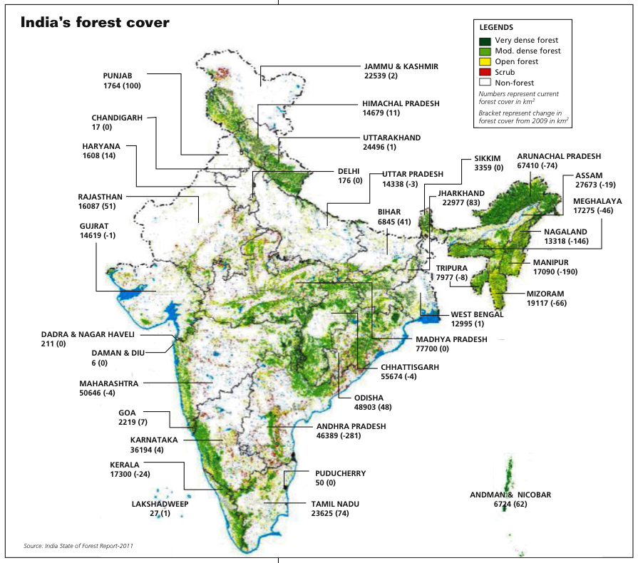 India's Forest Cover